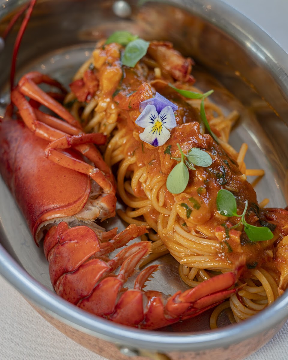 Signor Sassi Qatar Photos 2